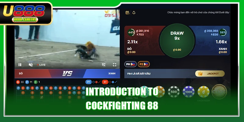 Introduction to Cockfighting 88