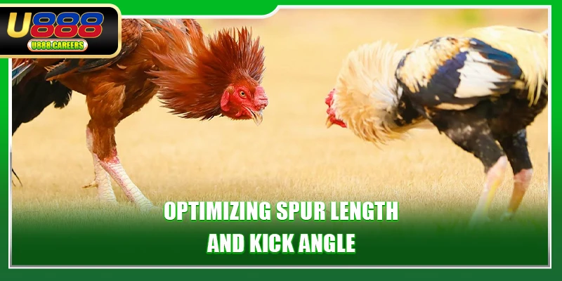Optimizing spur length and kick angle