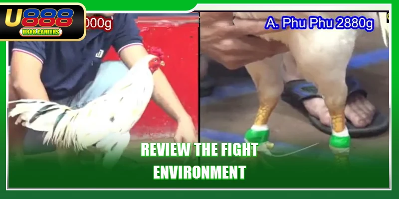Review the fight environment
