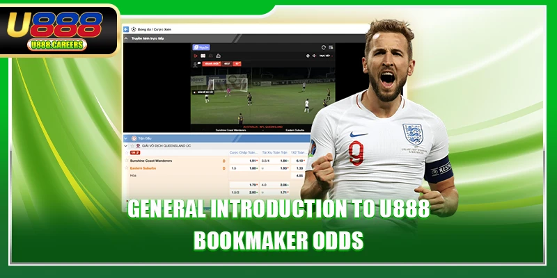General introduction to U888 bookmaker odds